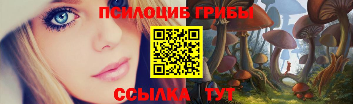 Кубинка  Псилоцибиновые грибы ЛСД  Вход с VPN  Псилоцибиновые грибы Magic Shrooms 